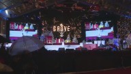24th annual tree lighting at The Grove