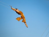 I work full-time in a traveling circus. I've traveled the world, but it's not always glamorous.