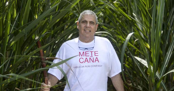 VIDEO: El renacer de la caña en Yabucoa, tierra que nunca olvidó su dulzura