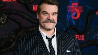 David Harbour looks worlds away from Stranger Things in unrecognizable new photos