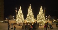 The Edgewater hosts 11th annual holiday tree lighting