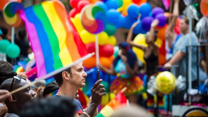 Nation Agrees To Just Sit Back And Watch The Left Eat Itself Alive