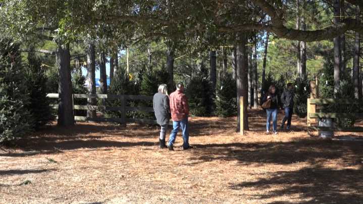 Families return for 39th year as beloved Columbia tree lot sells out faster than ever