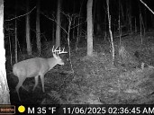 THE OUTDOORS GUY: Deer season and trail camera fun!