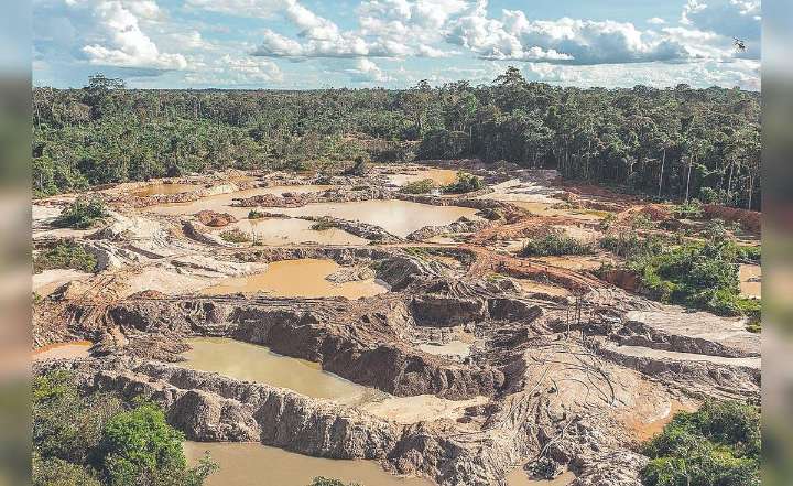 Amazonía: cada minuto se pierde el equivalente a seis canchas de fútbol