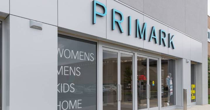 Primark's 'stylish' £11 bag 'elevates outfits' and 'looks like' £135 Italian brand