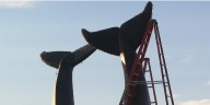 Holiday spirit on display at whales’ tails sculptures