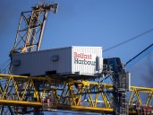 Concern over end to NI grace period on post-Brexit vet medicine rules