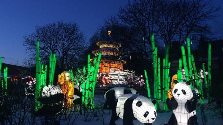 Porras confirma que el Festival de las Linternas no volverá a Málaga: "La iniciativa en esta ciudad hay que destruirla"