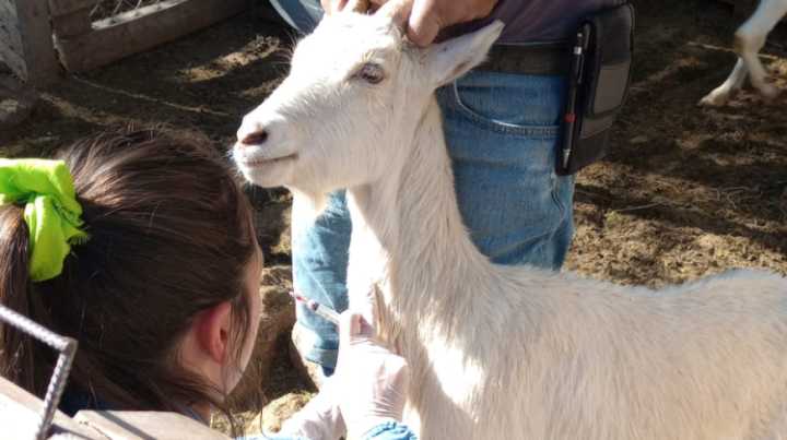 Continúa el programa de Asistencia Sanitaria en distintos parajes y localidades de la provincia