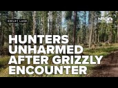 Hunters unharmed after grizzly bear encounter near Seeley Lake