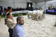 Genética de ganadería criolla calificada como de altísima calidad por jueces internacionales