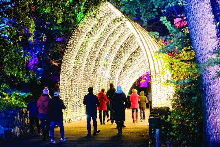 Must-see holiday llght shows in NYC