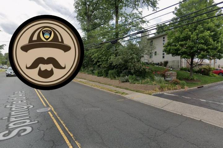 Unleashed pit bulls fatally mauls small dog, injures woman in NJ