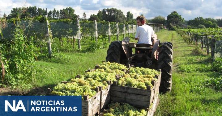 Luis Caputo habilita a empresas a solicitar online la apertura de mercados a productos agroindustriales