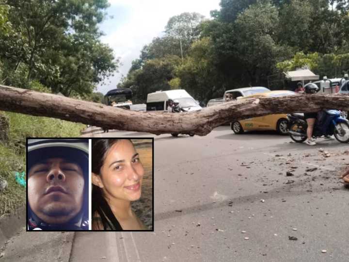 Pareja muere al ser aplastada por caída de un árbol