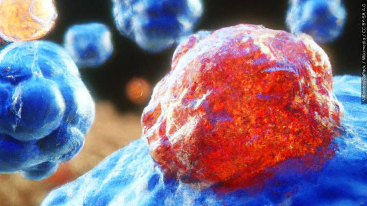 Two New FDA Cancer Approvals This Week: What They Could Mean for Patients in West Virginia