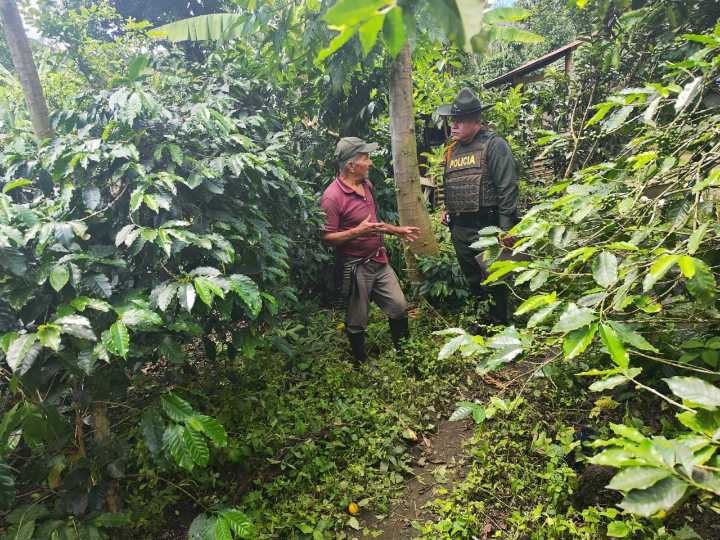 Seguridad de caficultores y campesinos durante la primera cosecha cafetera del año está garantizada