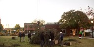 WATCH: Christmas tree snaps in half during setup at Gwinnett County courthouse