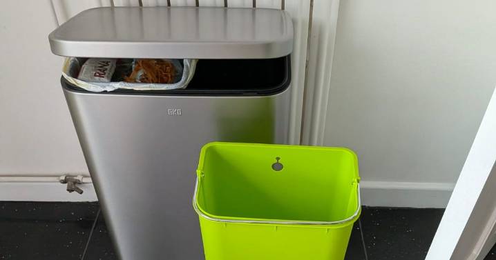 'I upgraded my bin and now I can't imagine life without it'