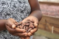 “Cacao para la Paz” un compromiso con desarrollo económico y sostenible del campo