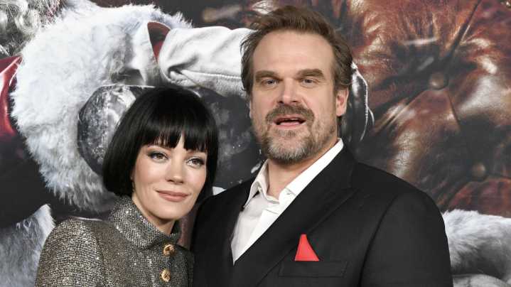 All The Details About Lily Allen And David Harbour's Messy Breakup