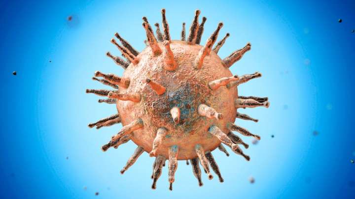 Scientists Trace Lupus to One of The World's Most Common Viruses