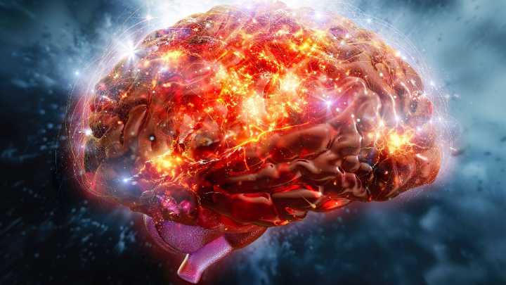 Scientists Reveal What Black Friday Is Doing to Your Brain