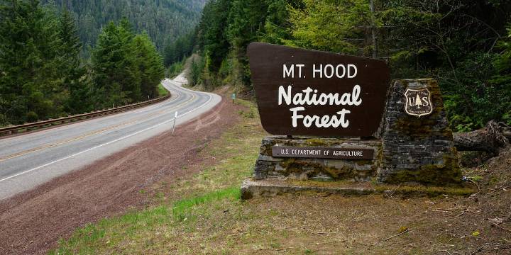 Authorities search for missing hunter in Mount Hood National Forest; gunshots heard overnight