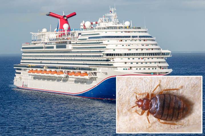 2 passengers sue Carnival Cruise Line alleging they woke up with more than 30 bites from bed bugs