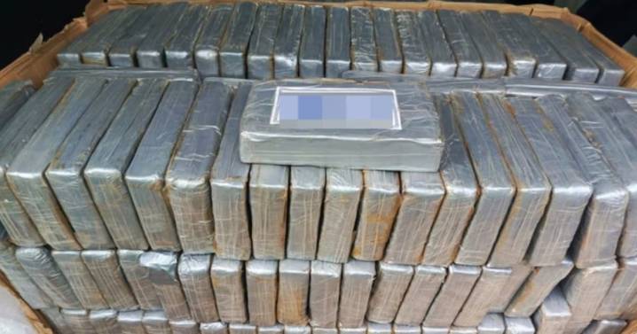 Detiene la Marina en el AICM a cuatro hombres ligados al tráfico de drogas