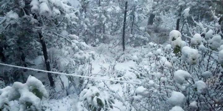 Frente frío 14: Conagua alerta por temperaturas de hasta