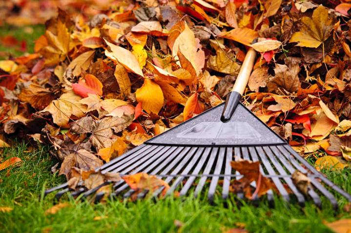 Jackson Township's 2025 Curbside Leaf Collection Begins Monday
