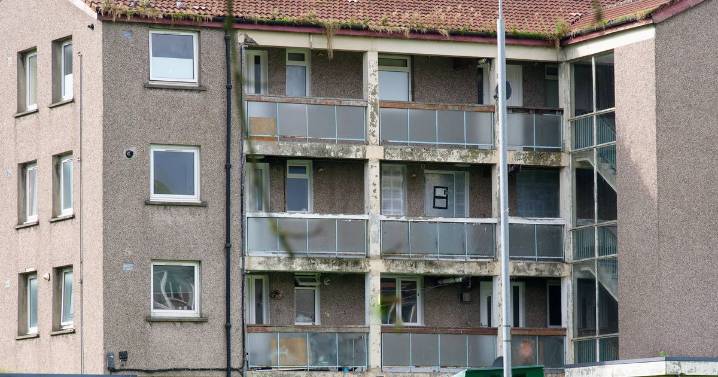 'I'm a single mum and I made my council property look beautiful within months'