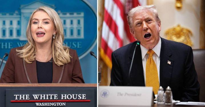 Karoline Leavitt Defends Trump's Demand 'Traitor' Dems Should Be 'Hanged'