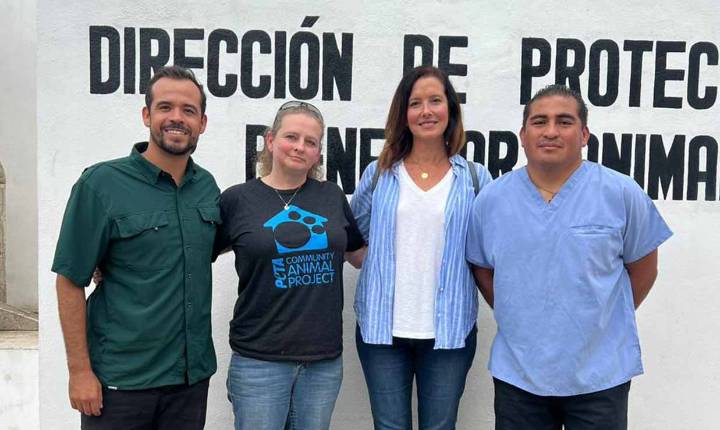 Trabaja Dirección de Bienestar Animal con Peta Latino para beneficio de Cancún