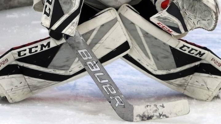 All-around effort leads Northern Berks hockey to victory over Lower Dauphin