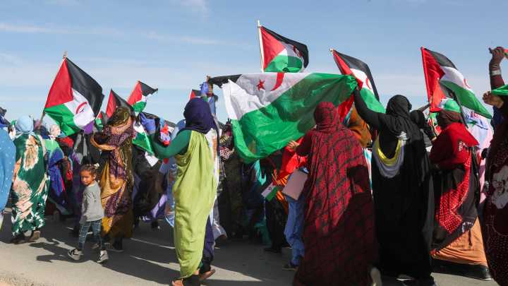 Sáhara Occidental: memoria, resistencia y olvido