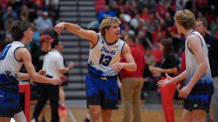 The Sharks fell in five sets in the Division II state finals