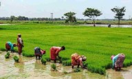 Delta irrigation package now extends to Cuddalore