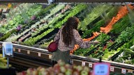 SNAP November benefits next steps for Trump administration