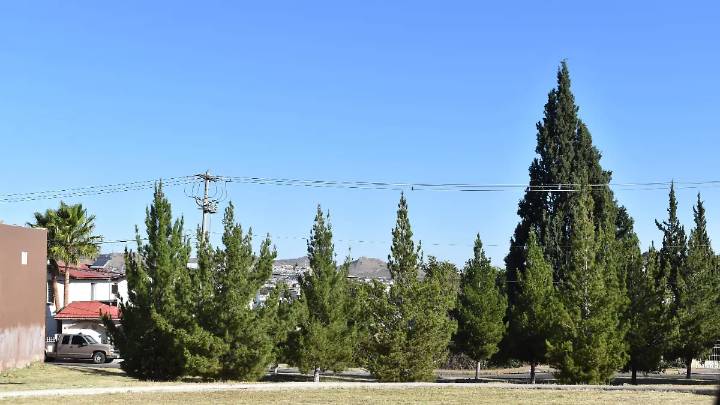 Pronostican vientos y heladas para la región sur del estado por Frente Frío 13; Parral amanece a 8°C