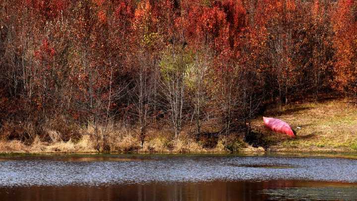 Things to do in Columbia this November include music, holiday markets