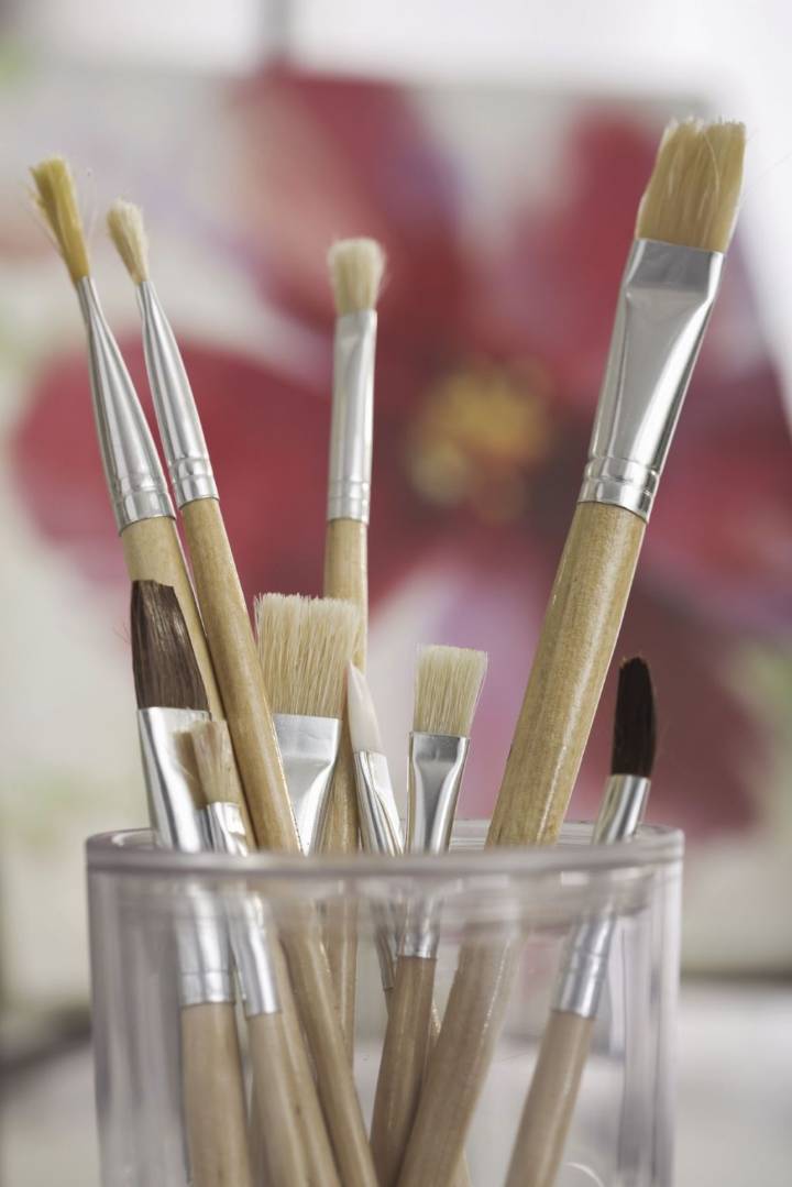 Community Spotlight week of Nov. 2 and beyond