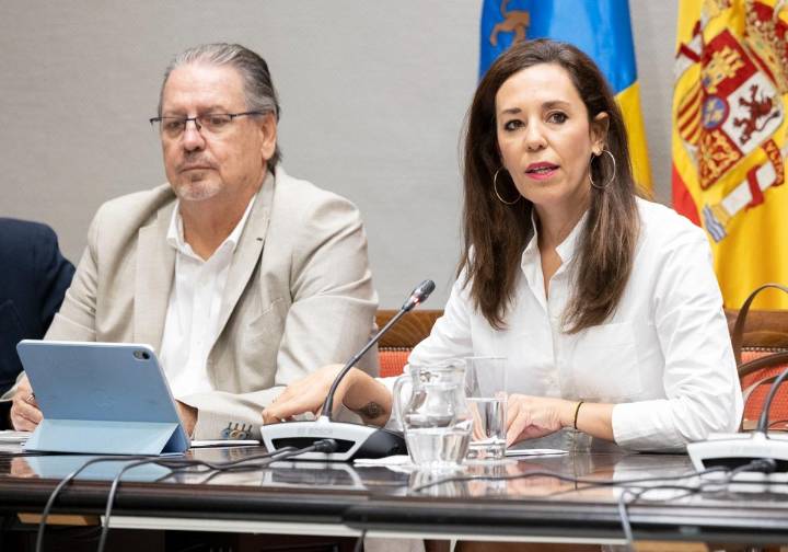 El Parlamento de Canarias tramita el miércoles la ley de ordenación de las viviendas turísticas