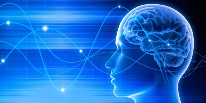 Los seres humanos podríamos tener un “séptimo sentido”: qué descubrió un experimento sorprendente