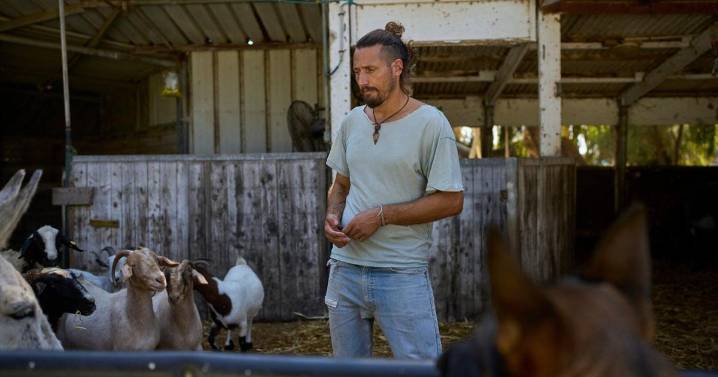 Israel’s longest war is leaving a trail of traumatized soldiers, with suicides also on the rise