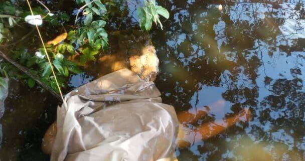 Encuentran muerta en el río Caroní a mujer que estaba desaparecida