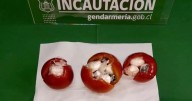 Tomates rellenos con droga: Gendarmería detecta sustancias en encomiendas a reos en penal de Temuco