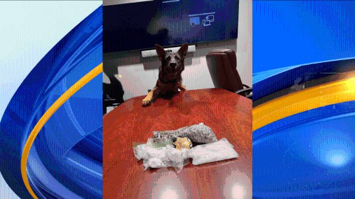 Limestone Co. Sheriff arrests TN man on drug charges after operation in Athens